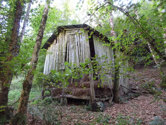 Fienile in legno nel bosco