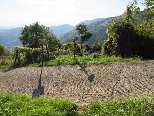 Attraversamento della stradina cementata