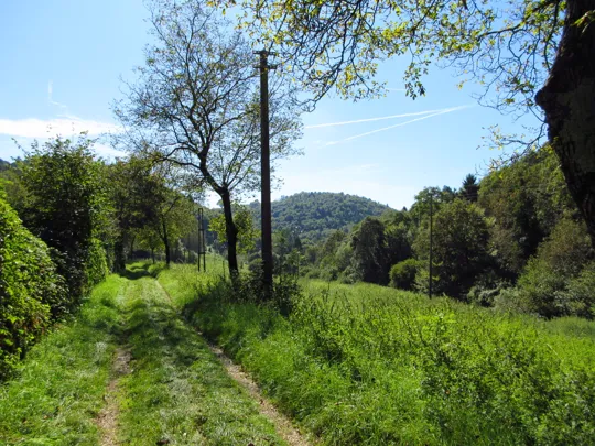 Il percorso dopo Fontanelle