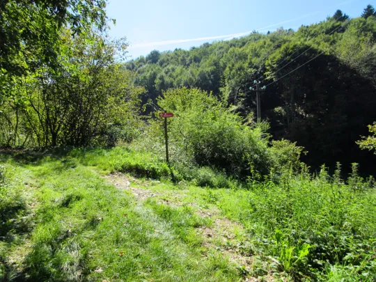 Svoltare a destra per Busa