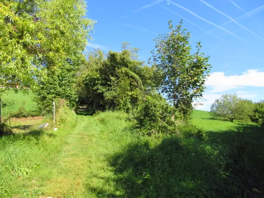 Verso contrà Bielli