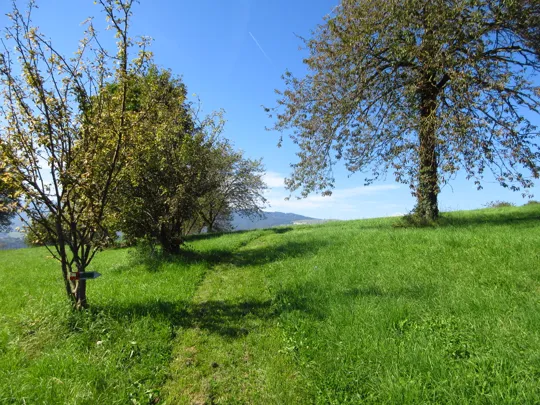 Verso località Scaletta