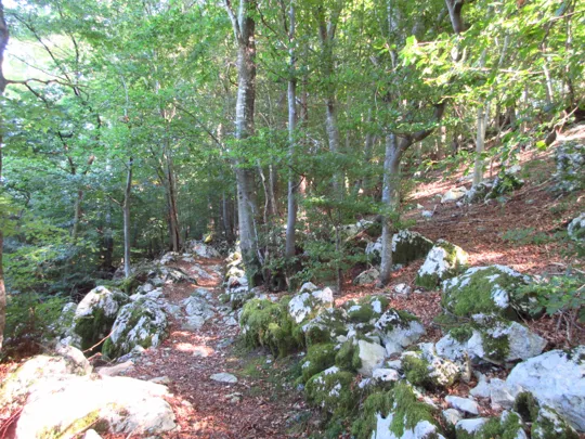 Dettaglio del percorso