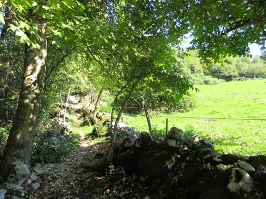 Dettaglio del percorso