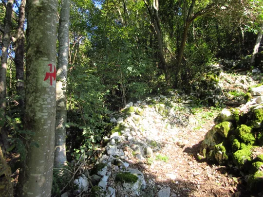 Dettaglio del percorso