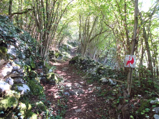 Dettaglio del percorso