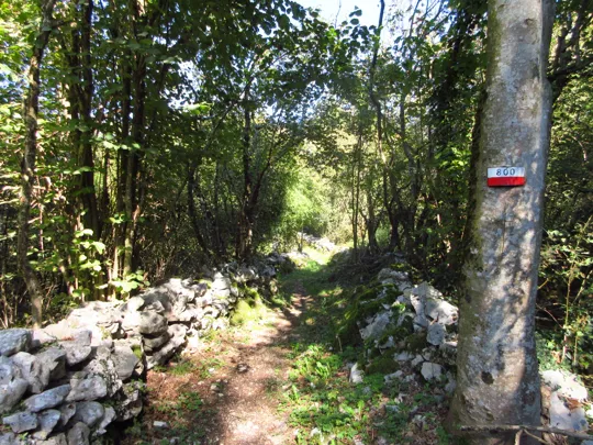 Dettaglio del percorso