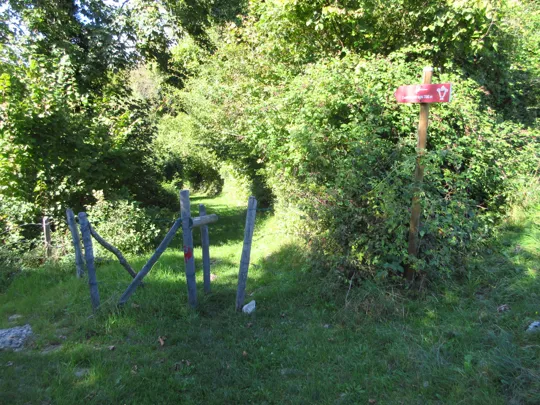 Dettaglio del percorso