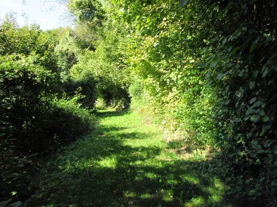 Dettaglio del percorso