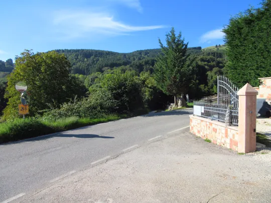 Attraversamento della strada