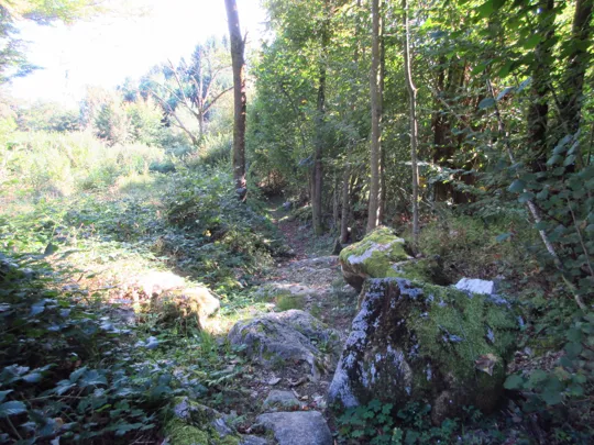 Dettaglio del percorso