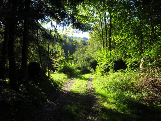 Dettaglio del percorso