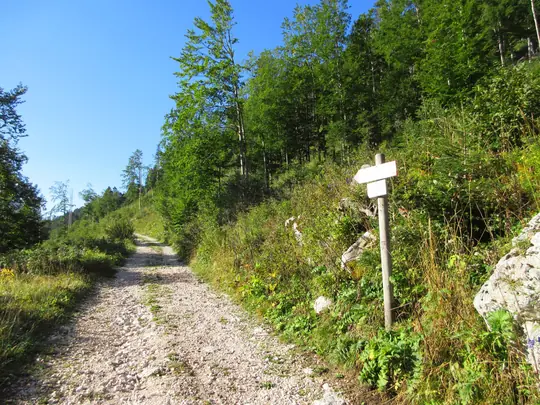 Inizio della strada militare verso Forte Campolongo