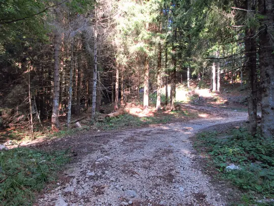 Bivio per la breve deviazione dalla strada di Forte Campolongo