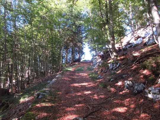 Strada verso la piazzola militare nei pressi di Forte Campolongo