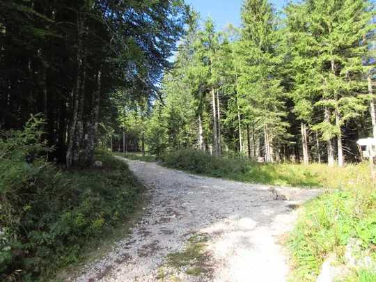 Incrocio tra la strada per Forte Campolongo e quella per Malga Campolongo