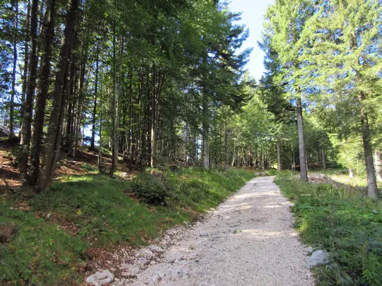 Strada militare poco prima della cisterna di Forte Campolongo
