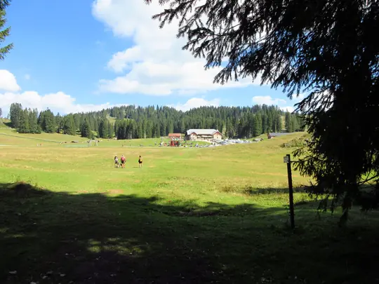 Malga Campolongo all’uscita dal bosco