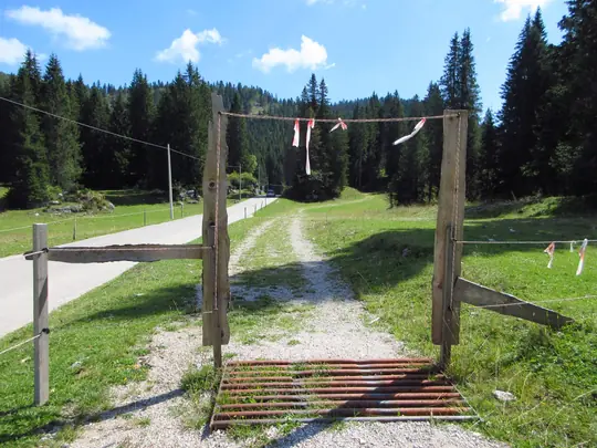 Percorso verso l’incrocio con la strada Mezzaselva-Monte Verena