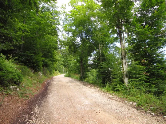 Dettaglio del percorso