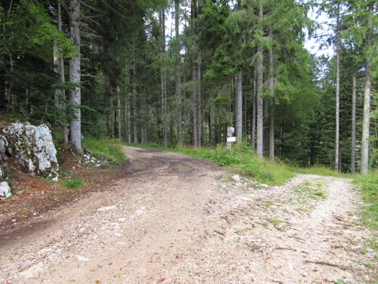 Proseguire a sinistra