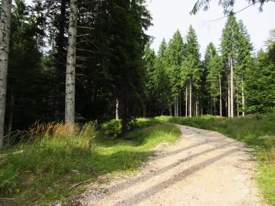 Proseguire a sinistra