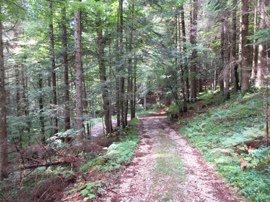 Dettaglio del percorso