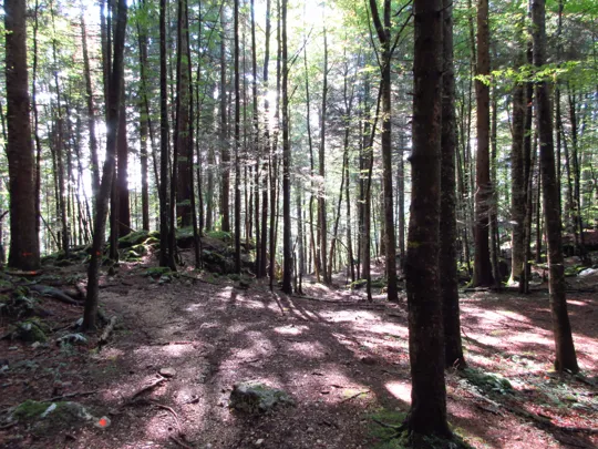 Dettaglio del sentiero con segni arancioni