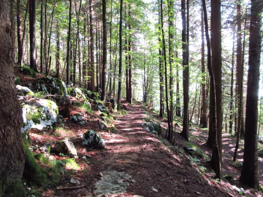 Dettaglio del sentiero