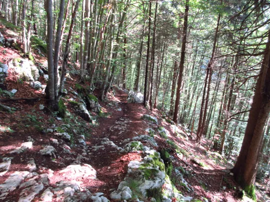 Dettaglio del sentiero