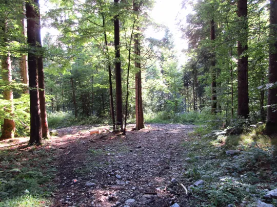 Dettaglio dell'incrocio, proseguire a destra