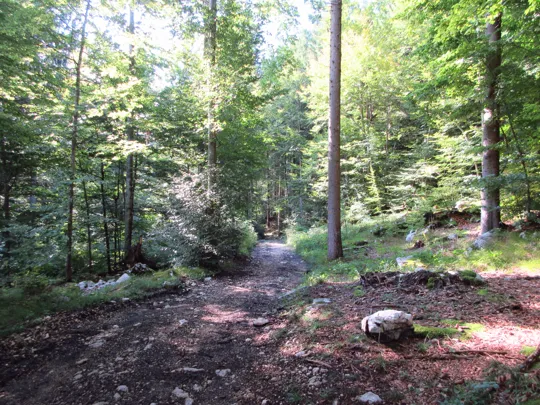 Dettaglio del sentiero dopo l'incrocio