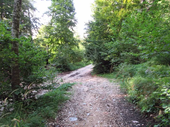 Incrocio, proseguire a sinistra