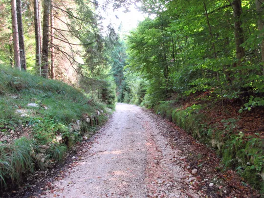 Dettaglio della strada