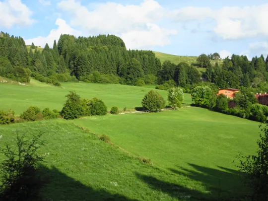 Al termine del bosco