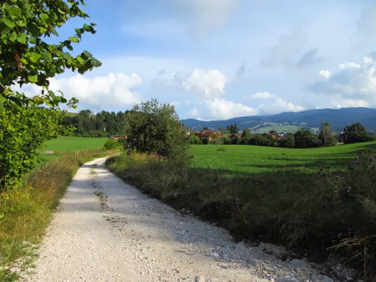 Dettaglio della strada