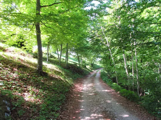 Dettaglio del percorso