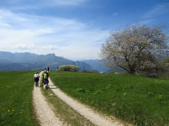 Dettaglio del percorso