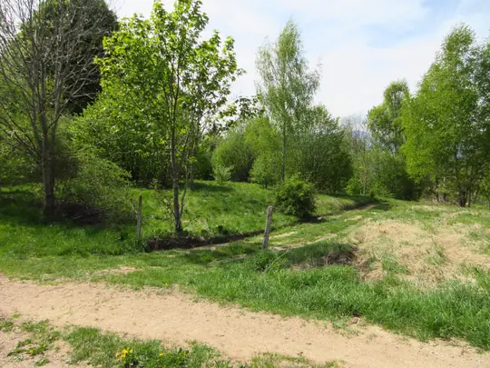 Prendere la strada a destra