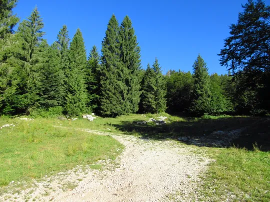 Seguire la strada a sinistra