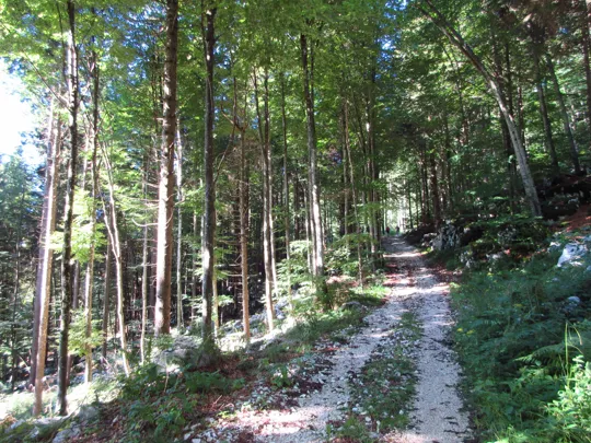 Dettaglio del percorso