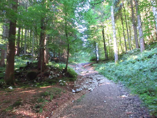 Dettaglio del percorso