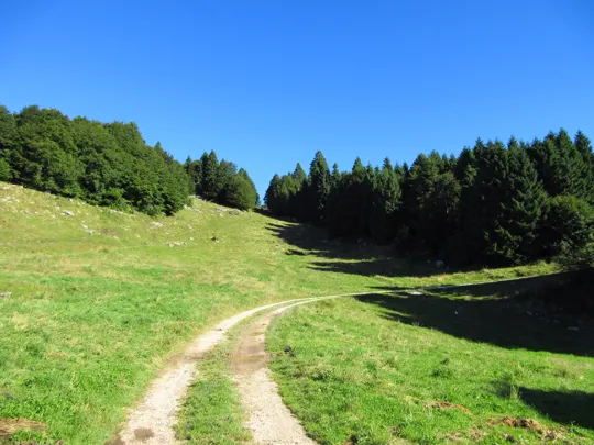 Dettaglio della strada dopo la malga