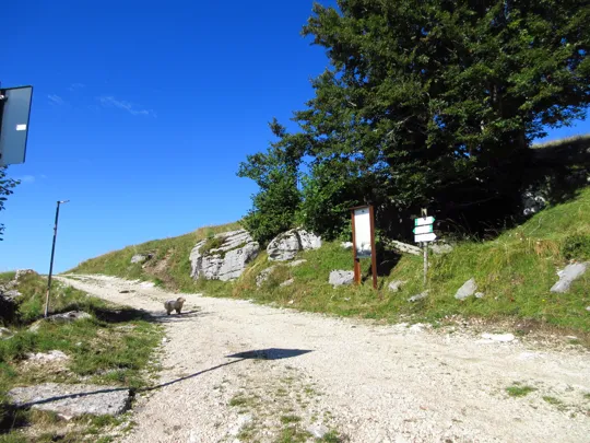 Incrocio, proseguire dritto