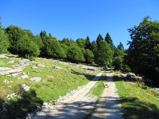 Dettaglio del percorso