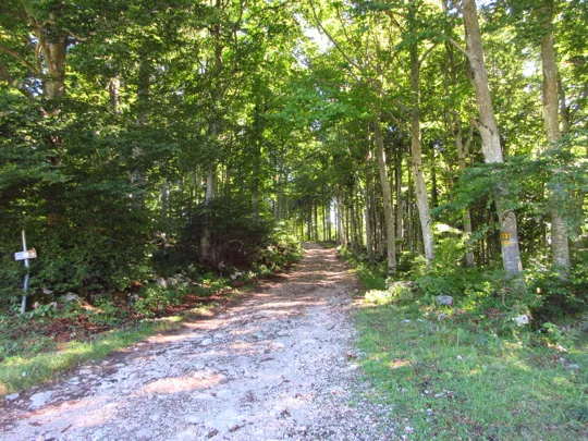 Dettaglio del percorso