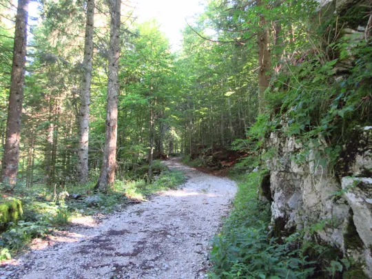 Dettaglio del percorso