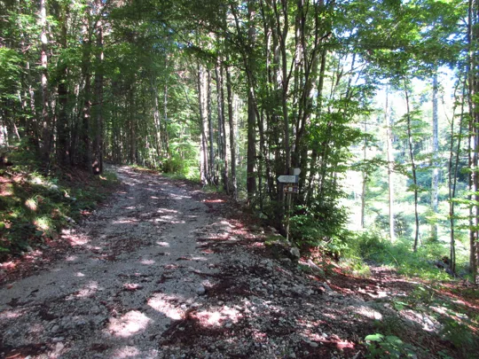 Rimanere sulla strada