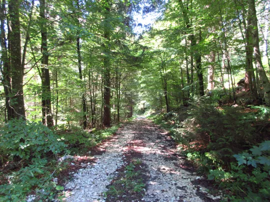 Dettaglio del percorso