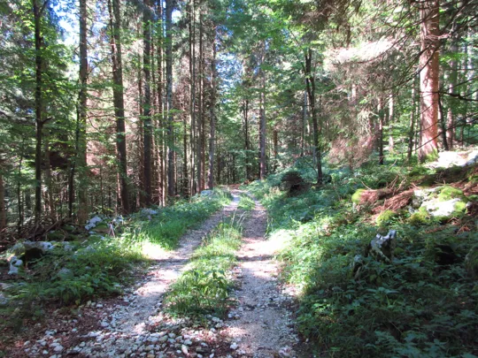 Dettaglio del percorso